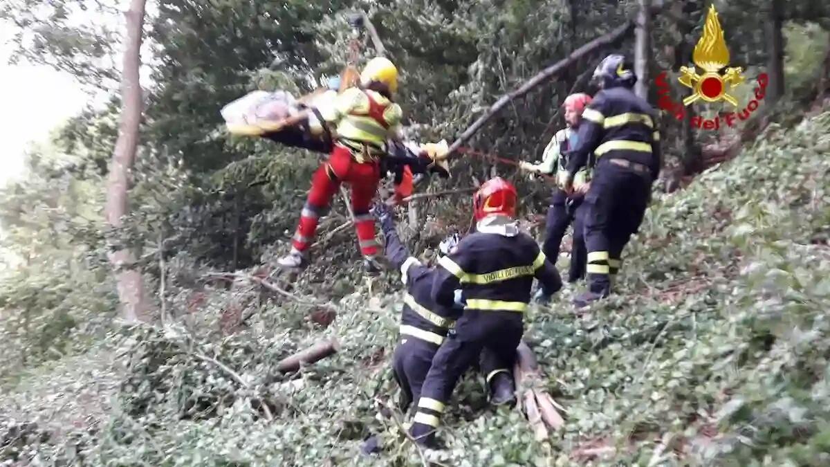 Domegge di Cadore, boscaiolo travolto da una pianta:  recuperato con l'elicottero - 