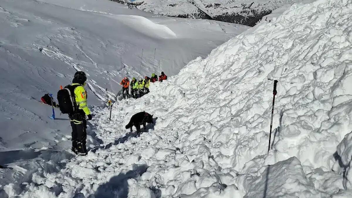 Valanga a Cima Costazza (passo Rolle): nessuna persona coinvolta - 