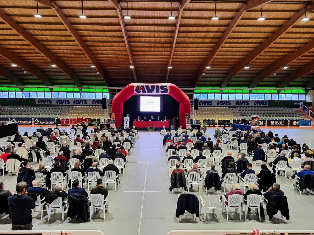 Bilancio positivo per Avis Provinciale Treviso, ma persistono criticità nei centri trasfusionali -
