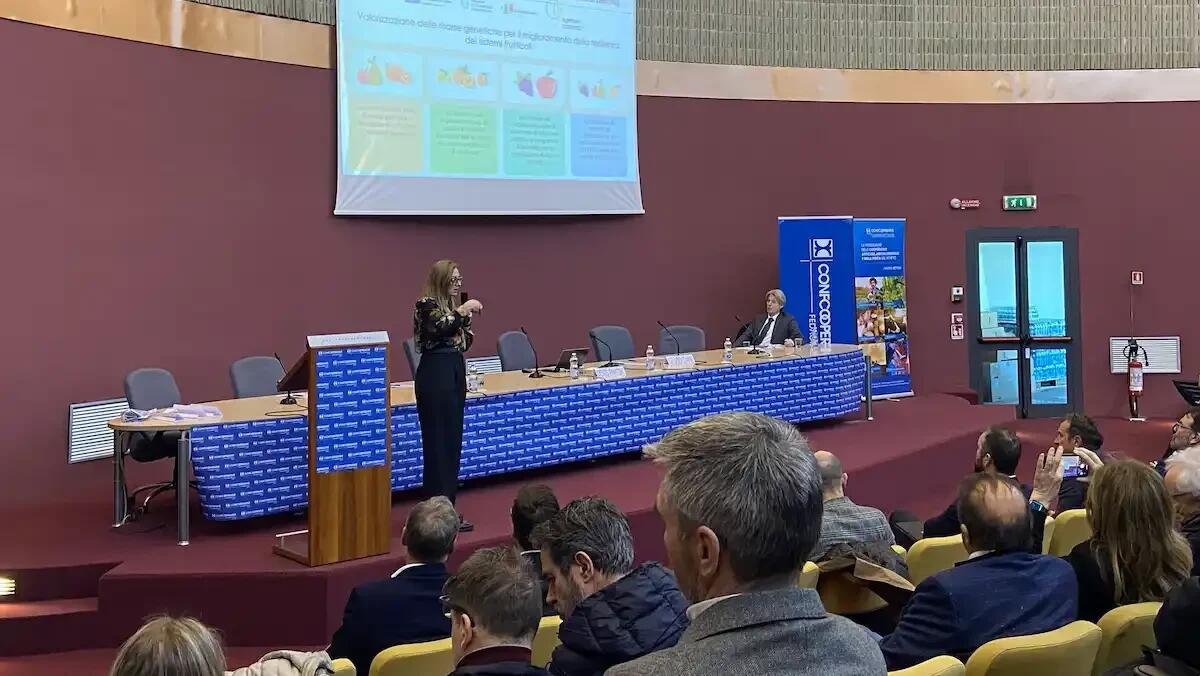 Ortofrutta veneta: le sfide del settore e le prospettive di innovazione -