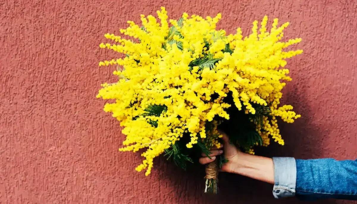 8 Marzo: origine, storia e significato della Festa della Donna - 