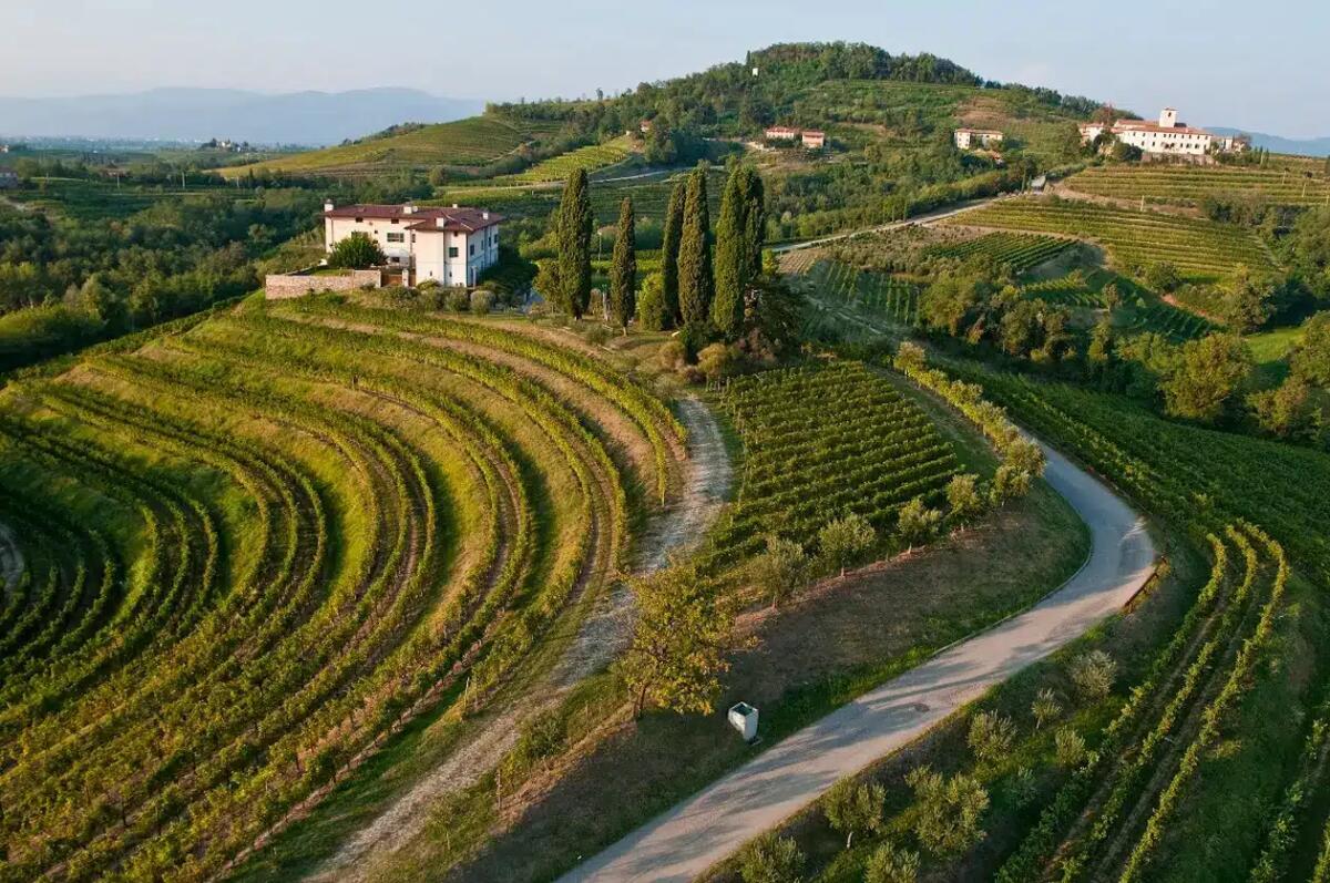Cosa fare in Fvg, viaggio breve a tema enogastronomico: ecco la strada del vino e dei sapori - 