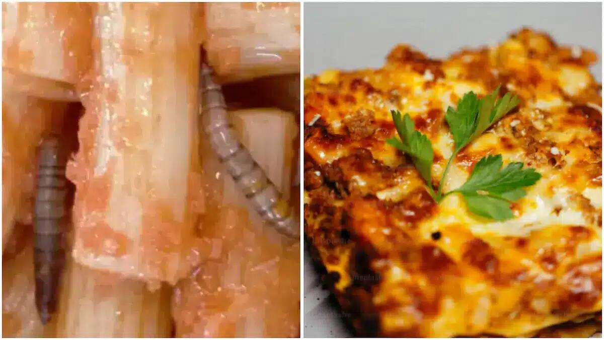 Nuovo caso in una scuola primaria, bimbo di 10 anni trova una larva nella lasagna: la rabbia dei genitori - 