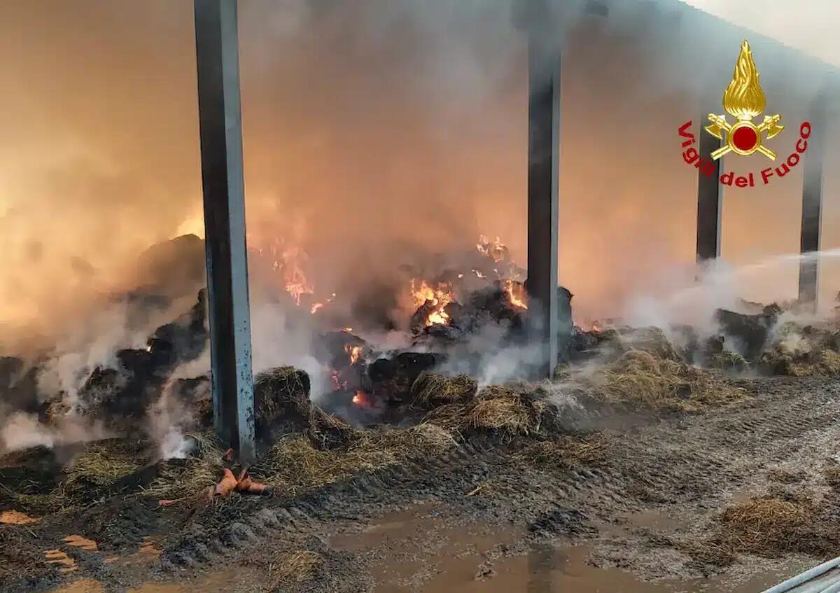 Scoppia un incendio in un capannone agricolo: gravi danni alla struttura, operazioni ancora in corso - 