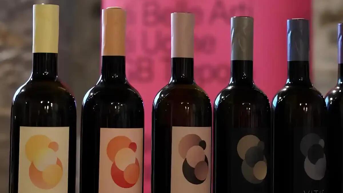 Il progetto vincitore della VitisNova Design Challenge: l'arte al servizio del vino -
