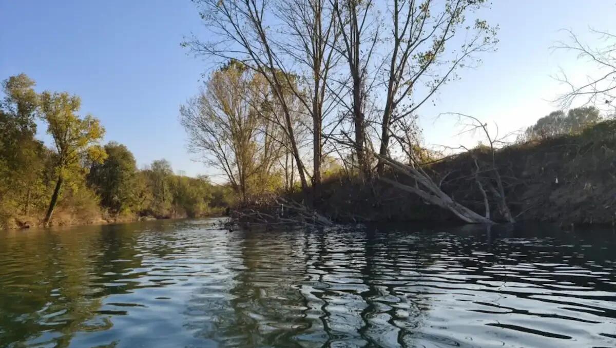 Giallo a Verona: rinvenuto il cadavere di un uomo nell'Adige - 