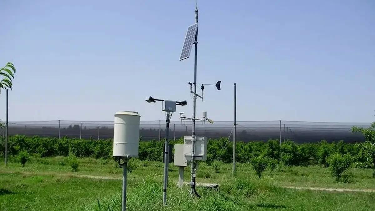 Arpav aiuta i veneti a combattere le allergie stagionali con il bollettino aerobiologico - 