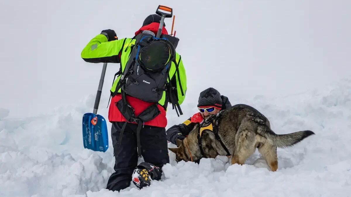 Il CNSAS conclude con successo il 58° corso unità cinofile di Cortina -