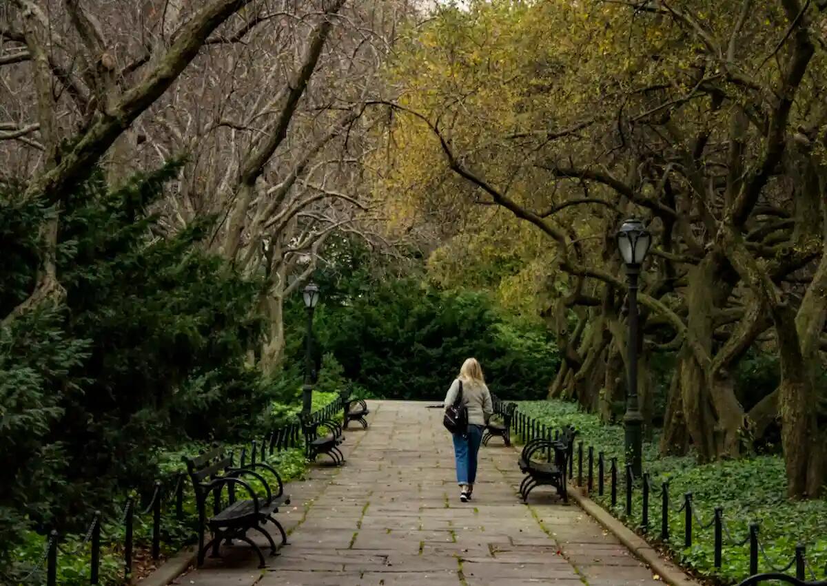 Attimi di terrore per una 40enne al parco: maniaco la insegue e poi si abbassa i pantaloni - 