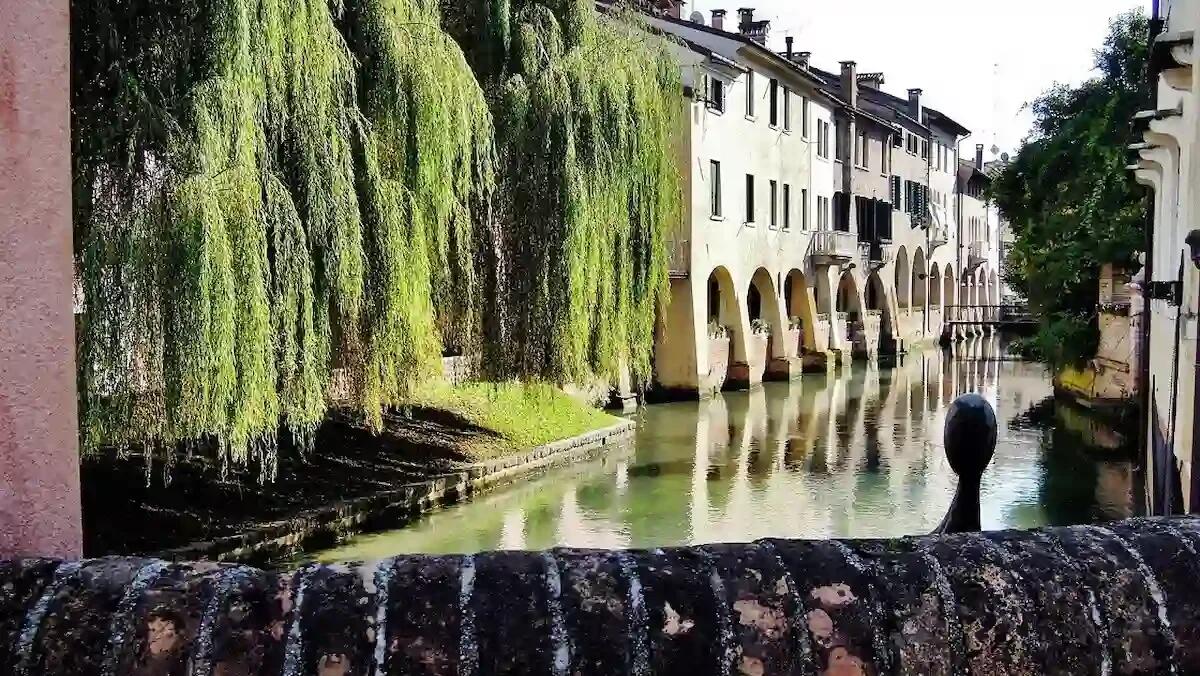 Giornata internazionale della donna al Centro Panorama di Villorba: dolcezza e arte -