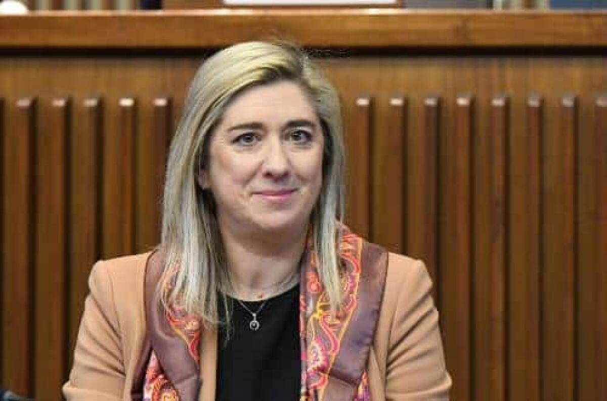 Censimento e verifica ponti e viadotti in FVG: aggiornamenti e prospettive - 