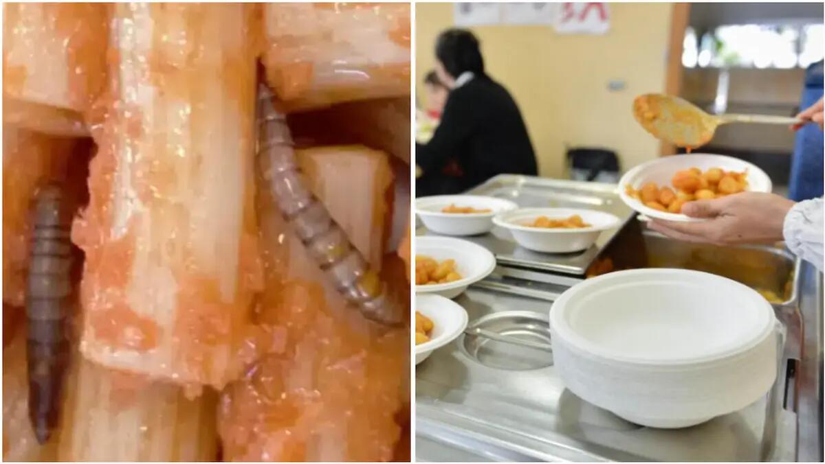 Larve nella pasta a scuola, due addette alla mensa accusate di sabotaggio: licenziate dall'azienda - 
