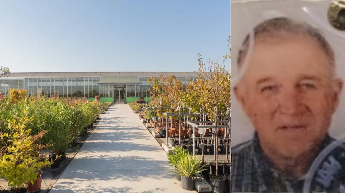 Si accascia e perde la vita mentre lavora in un vivaio: malore fatale per il 70enne veronese Franco Cordioli - 