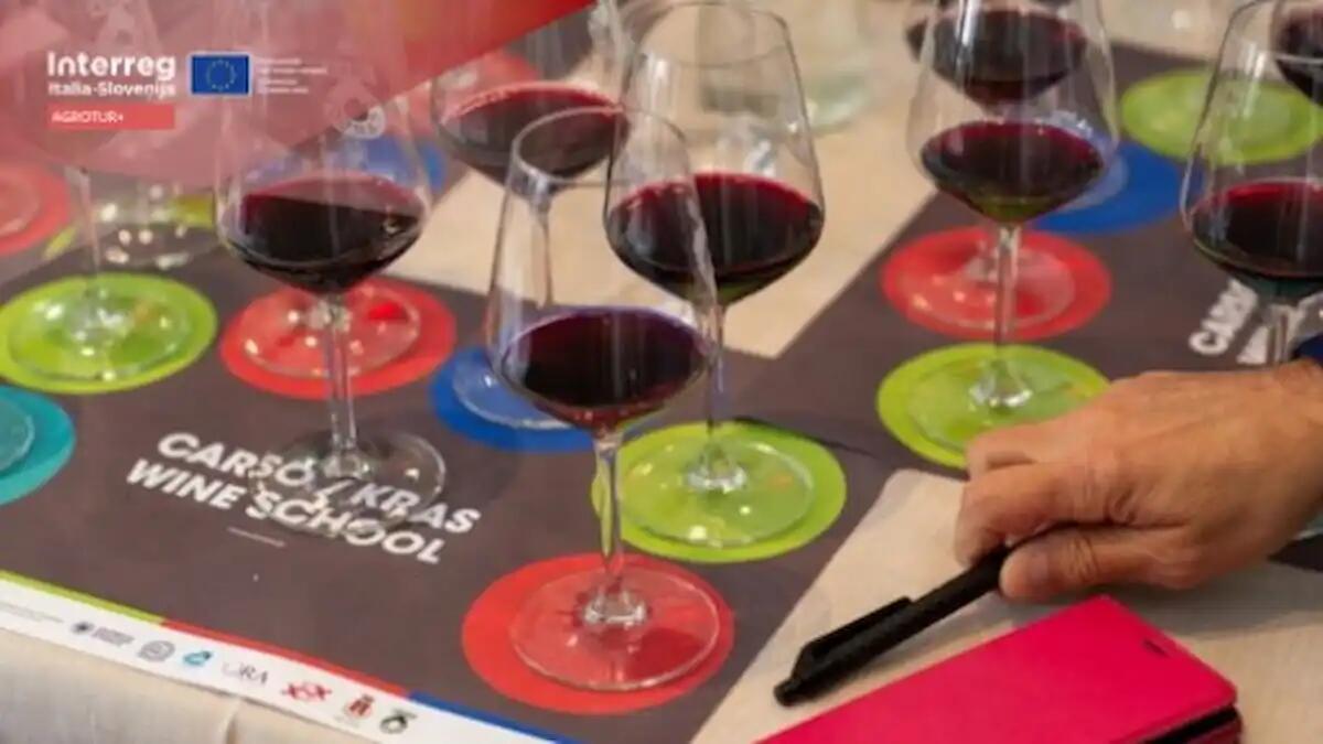 Al via la seconda edizione della Wine School sui vini autoctoni del Carso - 