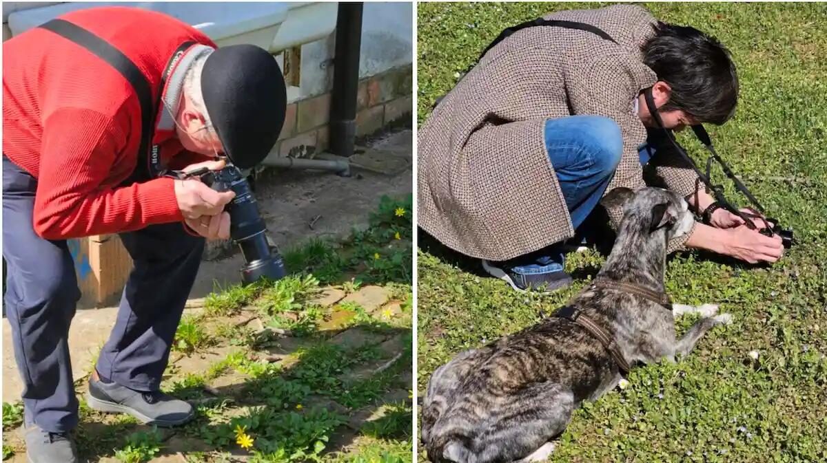 Un tuffo nella storia e nella primavera: l’ultima passeggiata fotografica al Parco Basaglia di Gorizia - 