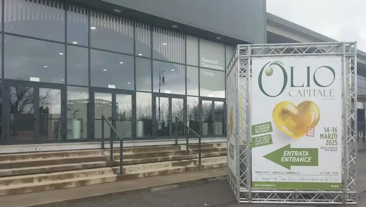 Trieste celebra l’olio extravergine: al via "Olio Capitale 2025" - 
