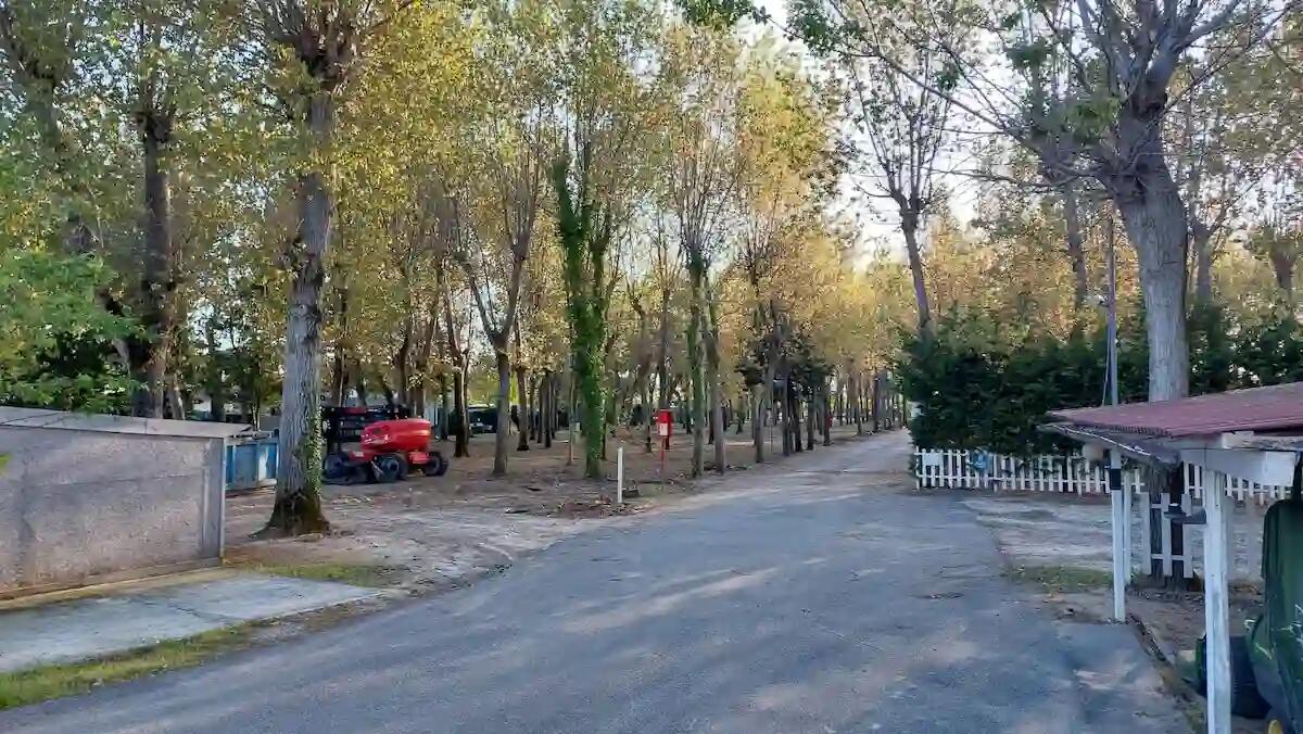 Ca' Savio si prepara ad accogliere i camperisti con una nuova area di sosta, approvato il progetto -