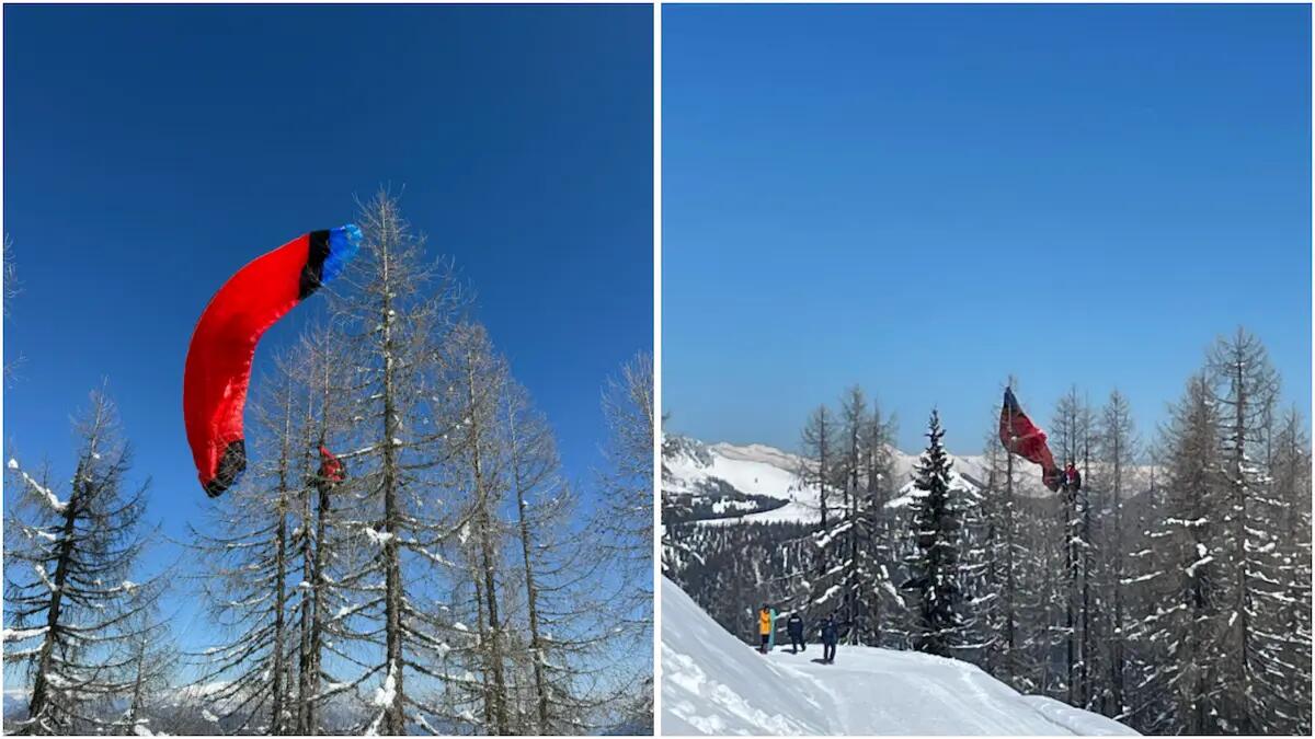Attimi di paura per un parapendista 40enne: bloccato su un albero e sospeso nel vuoto a 20 metri da terra - 