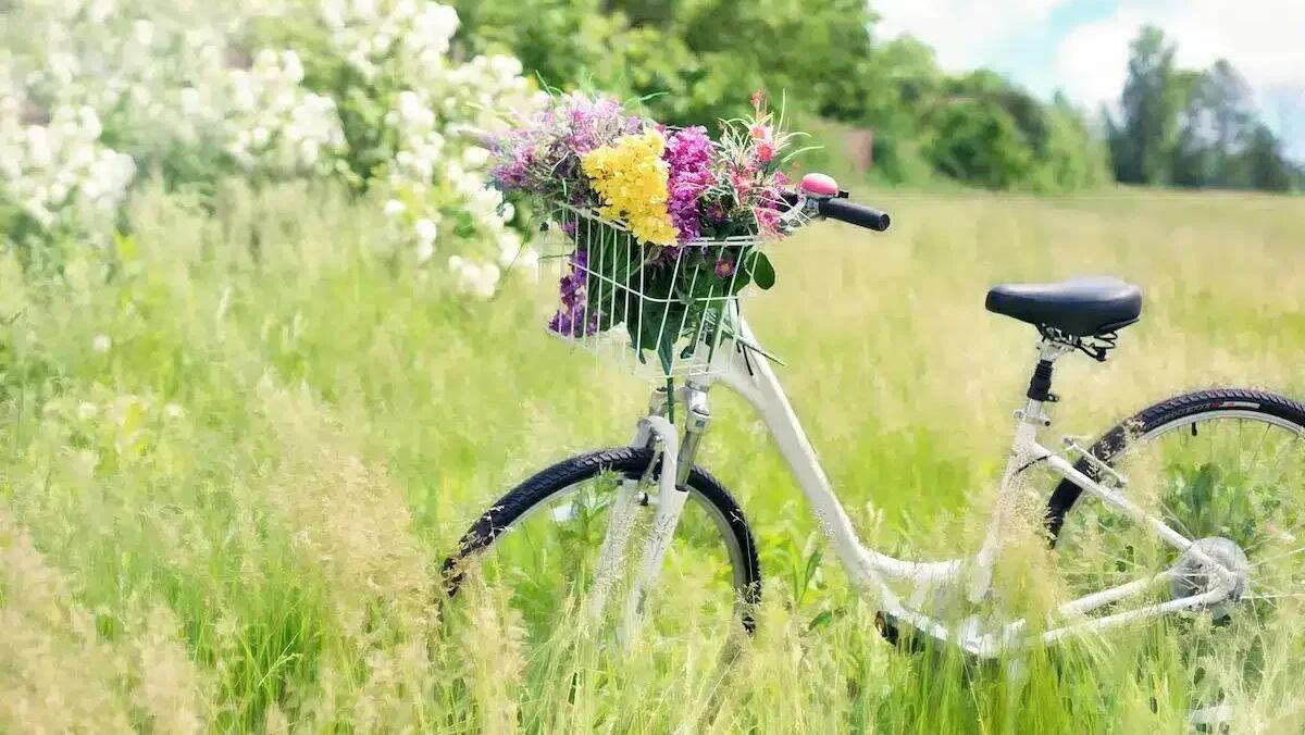 Pantaloni donna: le principali tendenze per la primavera 2025 - 