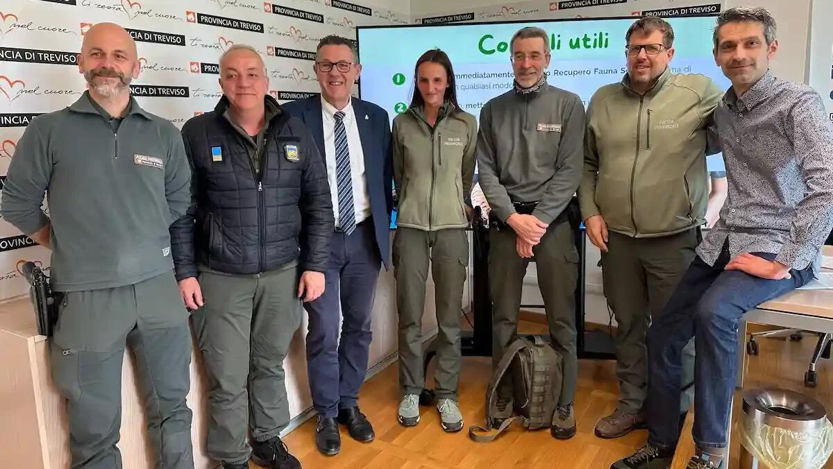 Treviso: nel 2024 il CRAS ha soccorso 2091 animali selvatici -