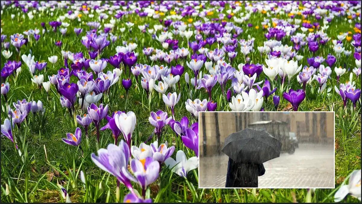 Primavera anticipata a Nord Est fino a domenica, poi pioggia e neve da lunedì - 