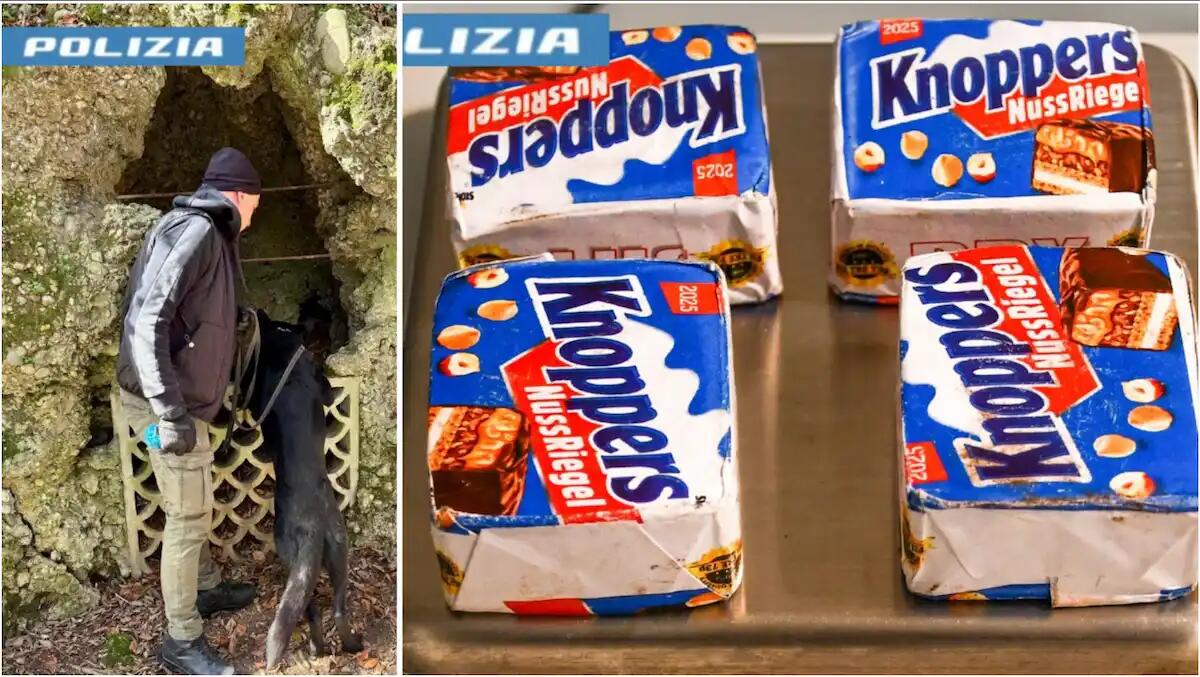 Udine, beccati a scavare sotto un albero in un parco: nascondevano droga in confezioni di dolciumi - 