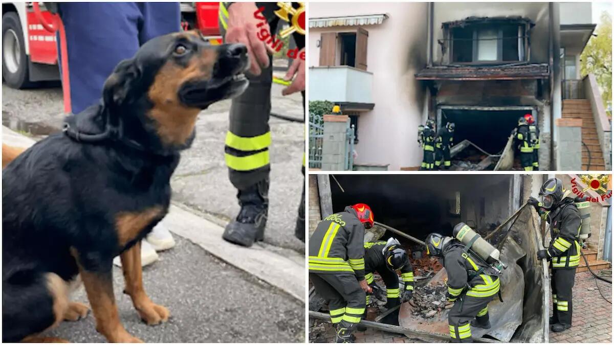 Incendio distrugge il garage di una casa: paura tra i residenti, i Vigili del fuoco salvano la cagnolina Alma - 
