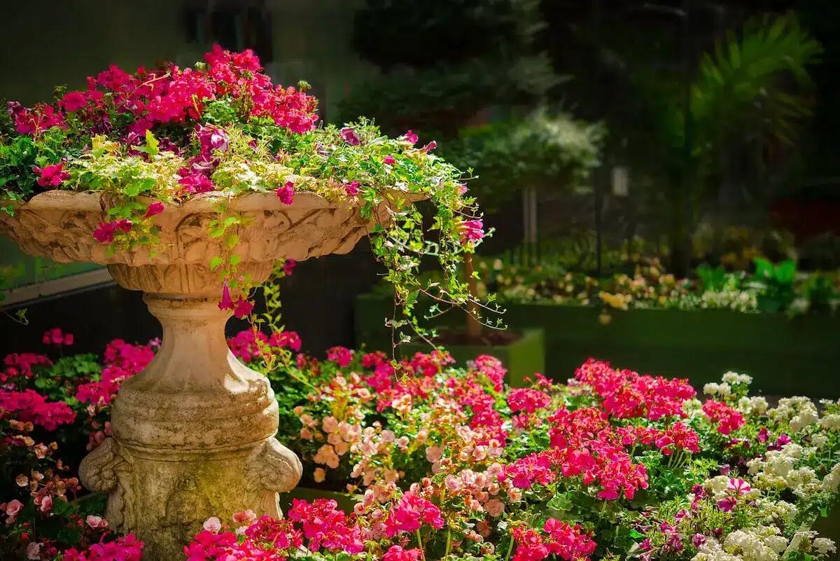 Workshop "Il verde che cura": impara a progettare giardini terapeutici -
