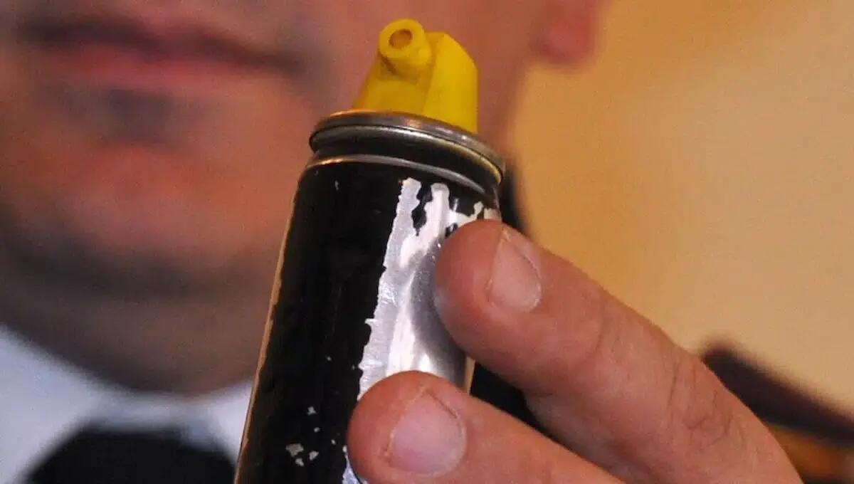 Rissa shock: botte in strada e spray al peperoncino tra due bambini di 10 anni - 