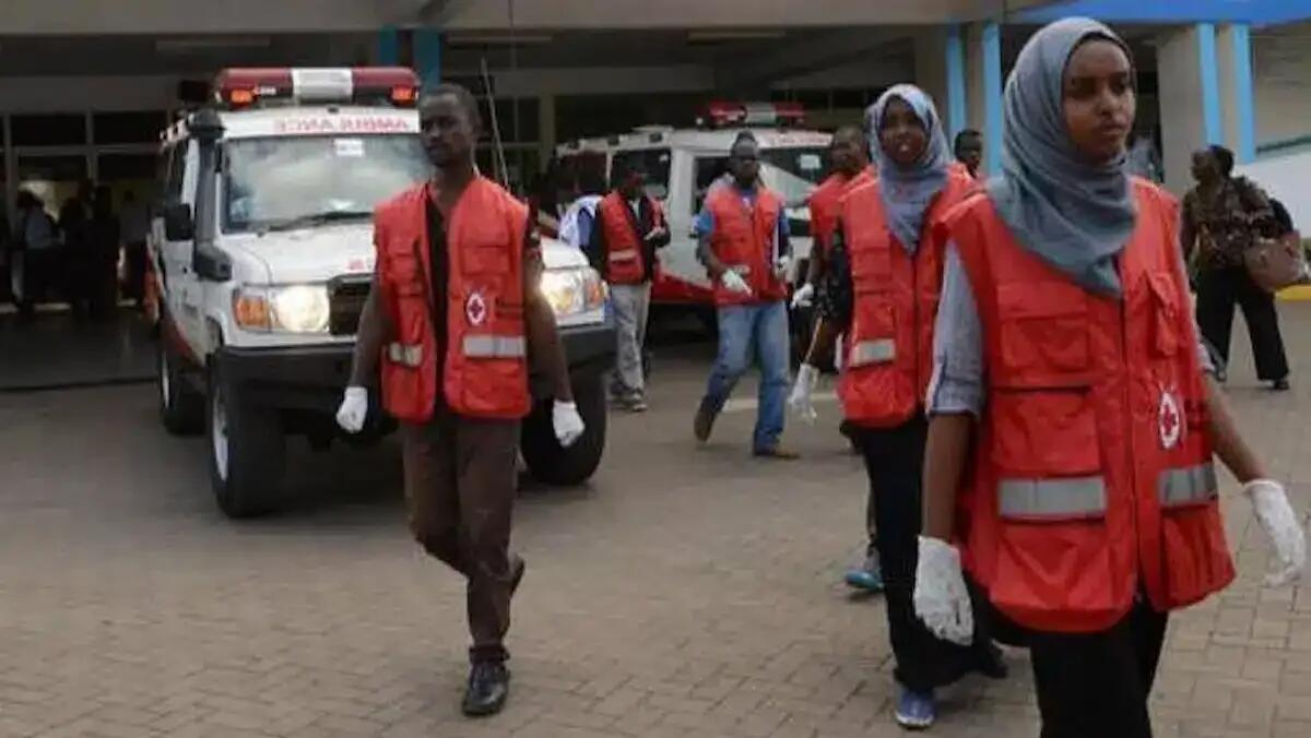 Tragico incidente in Kenya: muoiono due turisti italiani, uno è trentino - 
