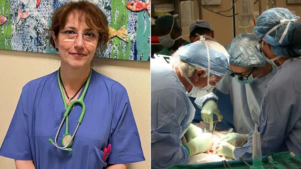 Ulss4 Veneto Orientale, Marcella Parente alla guida del Coordinamento ospedaliero per i trapianti - 