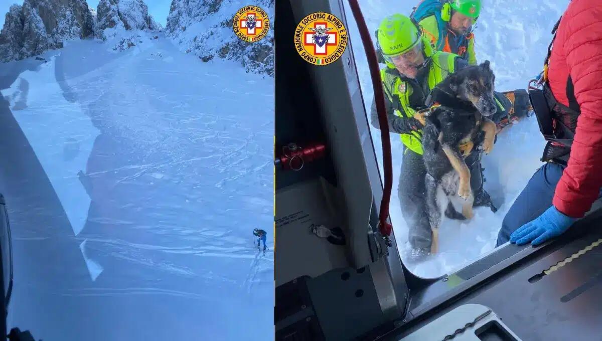 Valanga a Passo Cibiana, tre persone estratte vive - 