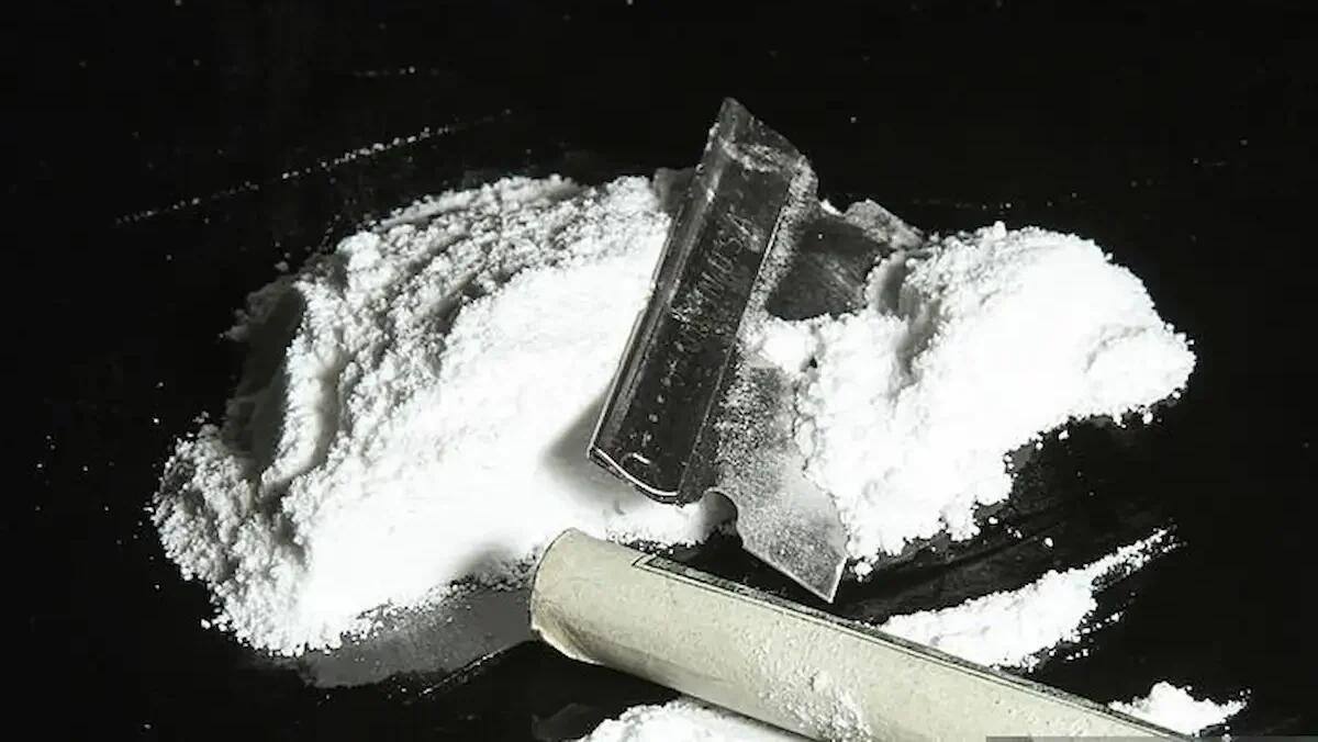 Ispettore dei carabinieri fermato con 2 kg di cocaina, arrestato: le accuse sono traffico di droga e peculato - 