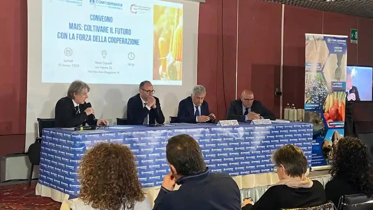 Mais: le sfide e le soluzioni per il futuro del settore agricolo italiano - 