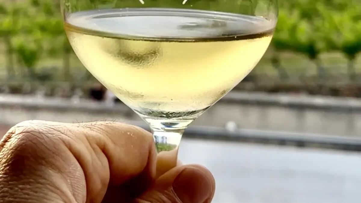 Fiera Regionale dei Vini di Buttrio 2025: un evento imperdibile per gli appassionati - 