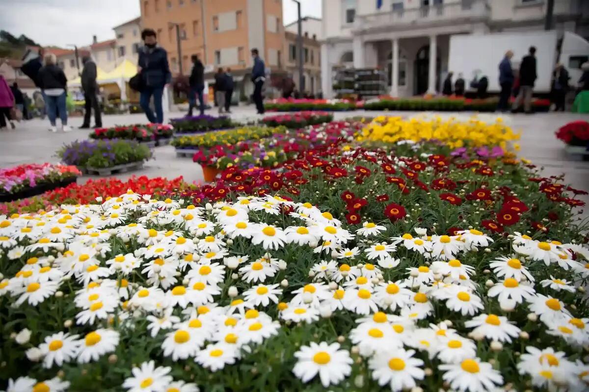 "Monfalcone in fiore": dal 24 al 27 aprile la città si trasforma in un giardino a cielo aperto - 