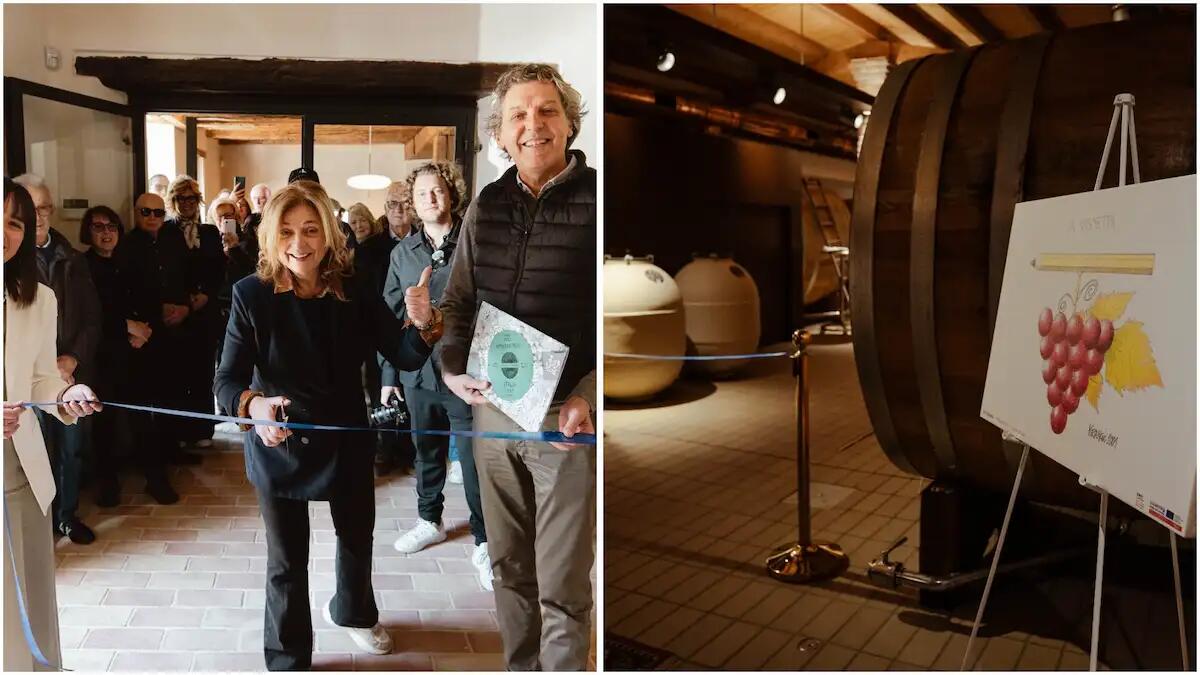 A Gorizia arriva il Festival Eno(Satira): dove il vino si racconta con ironia - 