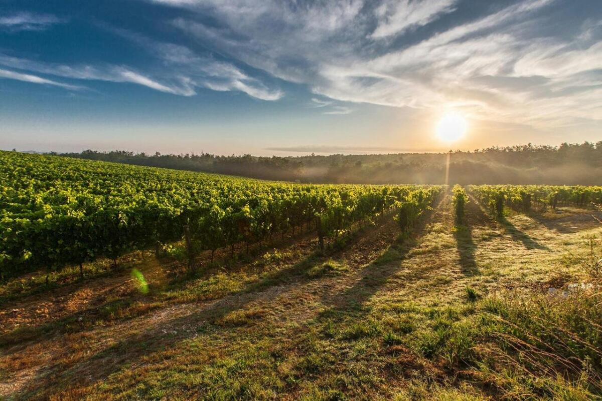 Viaggi di primavera: gli itinerari da scoprire -