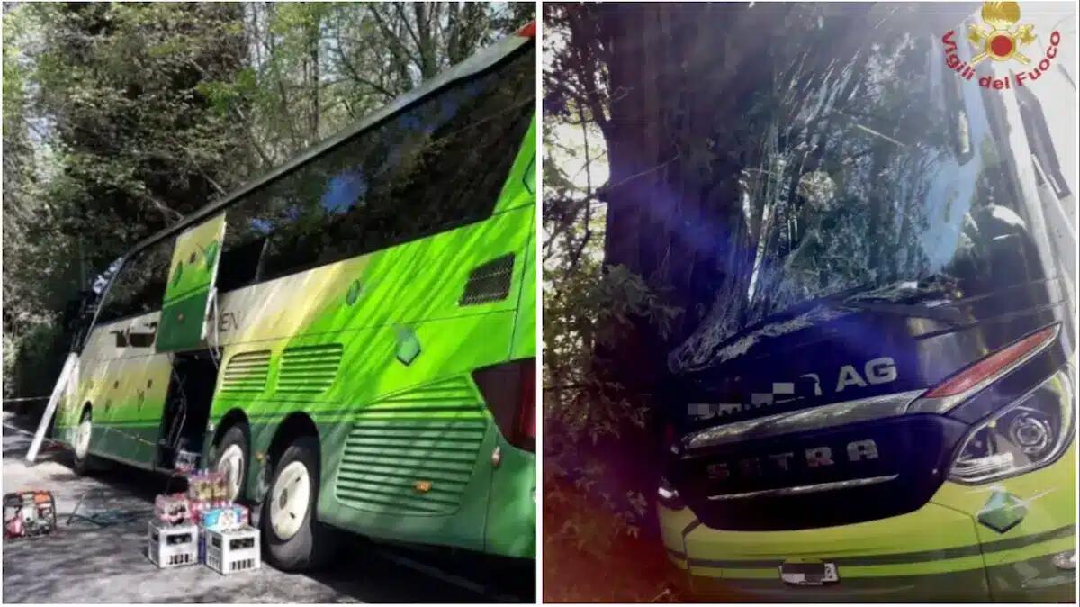 Pullman esce di strada e finisce contro gli alberi: 51 passeggeri bloccati, liberati dai Vigili del fuoco - 
