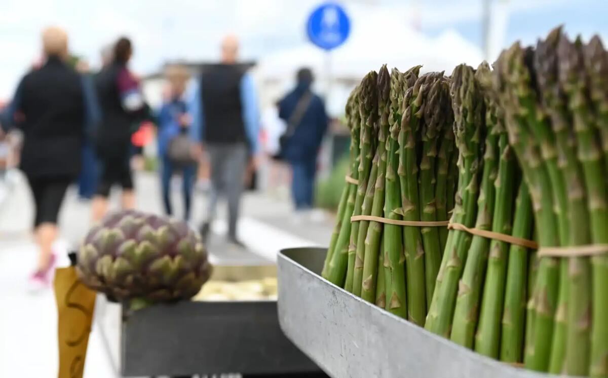 Torna la "Festa dea Sparesea", appuntamento storico di Cavallino-Treporti che celebra l'asparago -