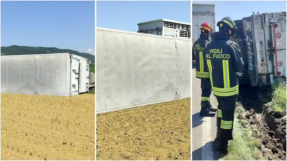 Rimorchio carico di bovini si ribalta finendo in un campo agricolo: intervento dei pompieri in corso - 