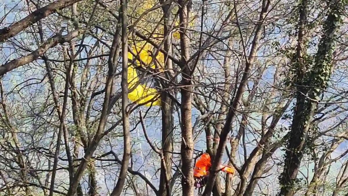Incidente in parapendio, una donna rimane impigliata tra i rami di un albero: recuperata con l'elisoccorso - 