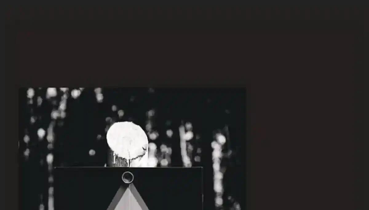 Le Vie delle Foto: Trieste si trasforma in una galleria a cielo aperto - 