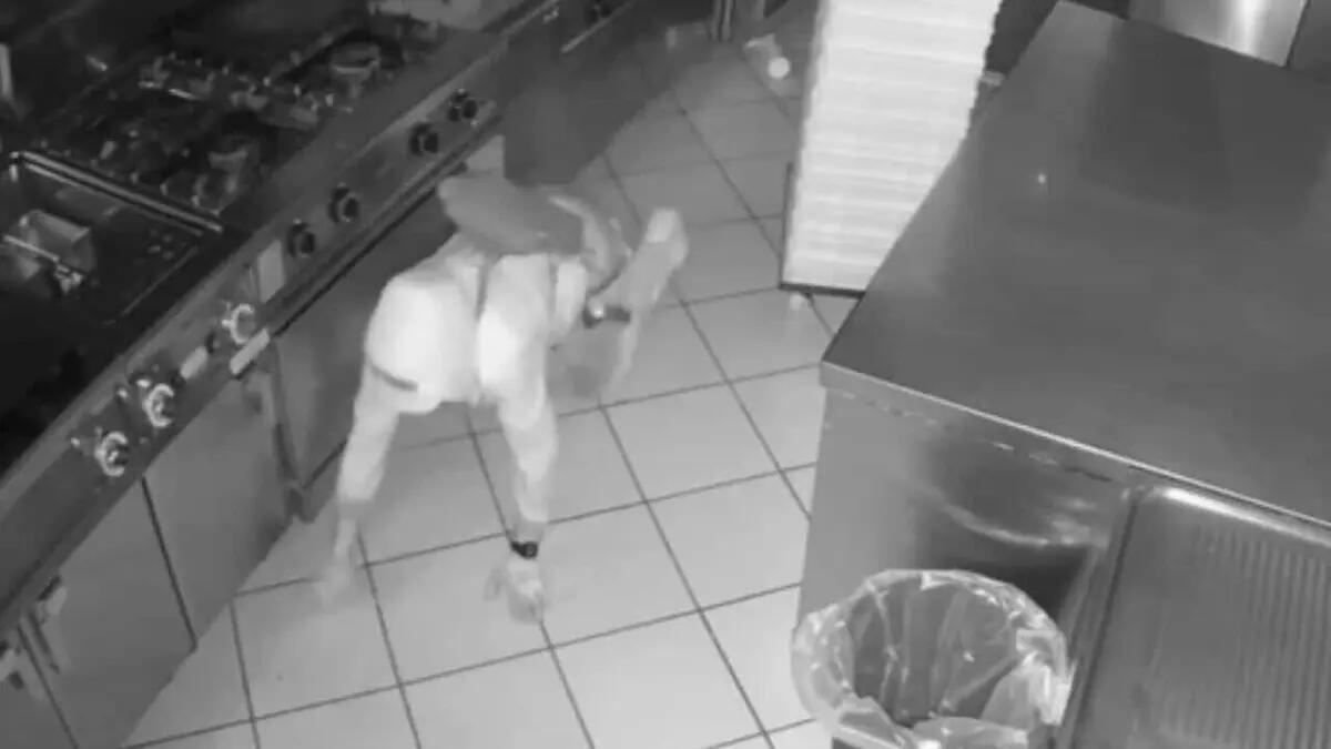 Arrestato "il ladro gattonatore", autore di diversi furti in bar e ristoranti: è un 47enne veronese - 