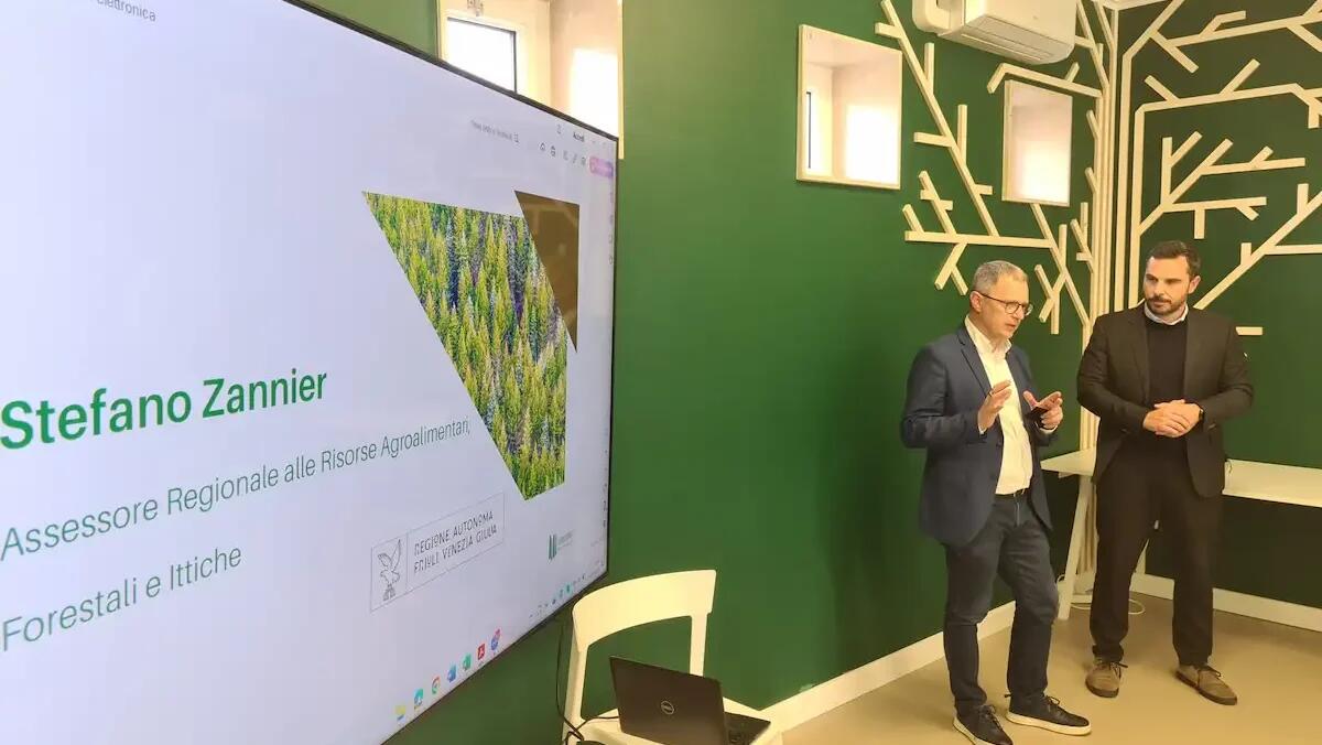 A Udine la prima certificazione ai proprietari forestali privati del FVG - 