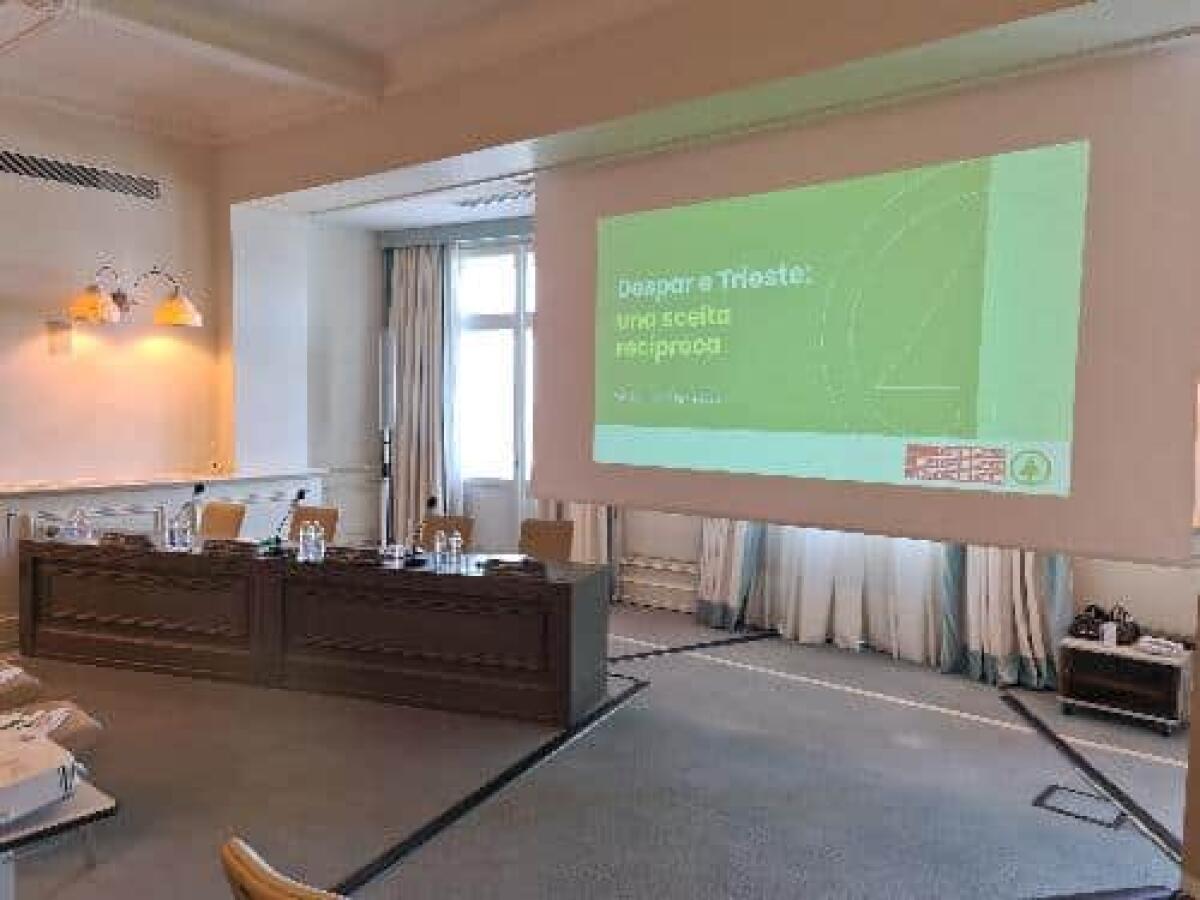 65 anni di Despar a Trieste: collaborazione vincente tra pubblico e privato per lo sviluppo sociale ed economico - 