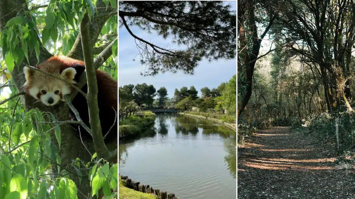 Da Bibione a Lignano una pedalata tra due mondi immersi nella Natura - 
