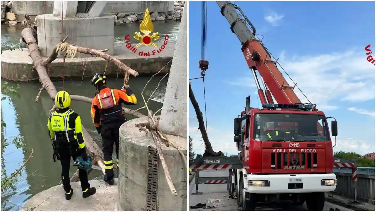Intervento dei vigili del fuoco sul Bacchiglione a Selvazzano: rimosso tronco incastrato - 