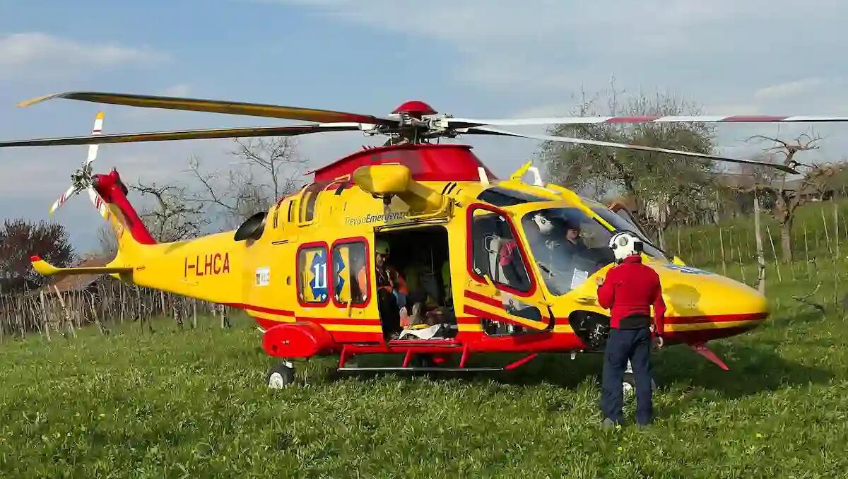 Travolto da una pianta mentre la tagliava, è grave un 45enne: elitrasportato all'ospedale - 