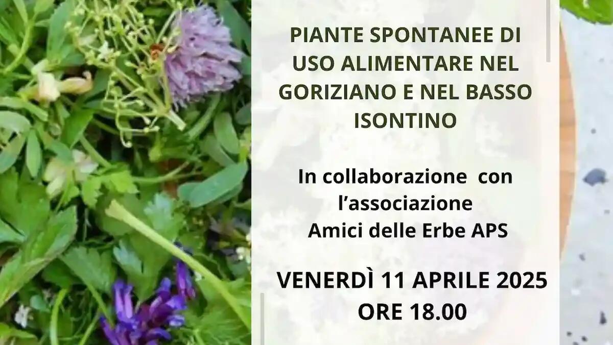 Scopri le piante commestibili locali: serata informativa a Mossa - 